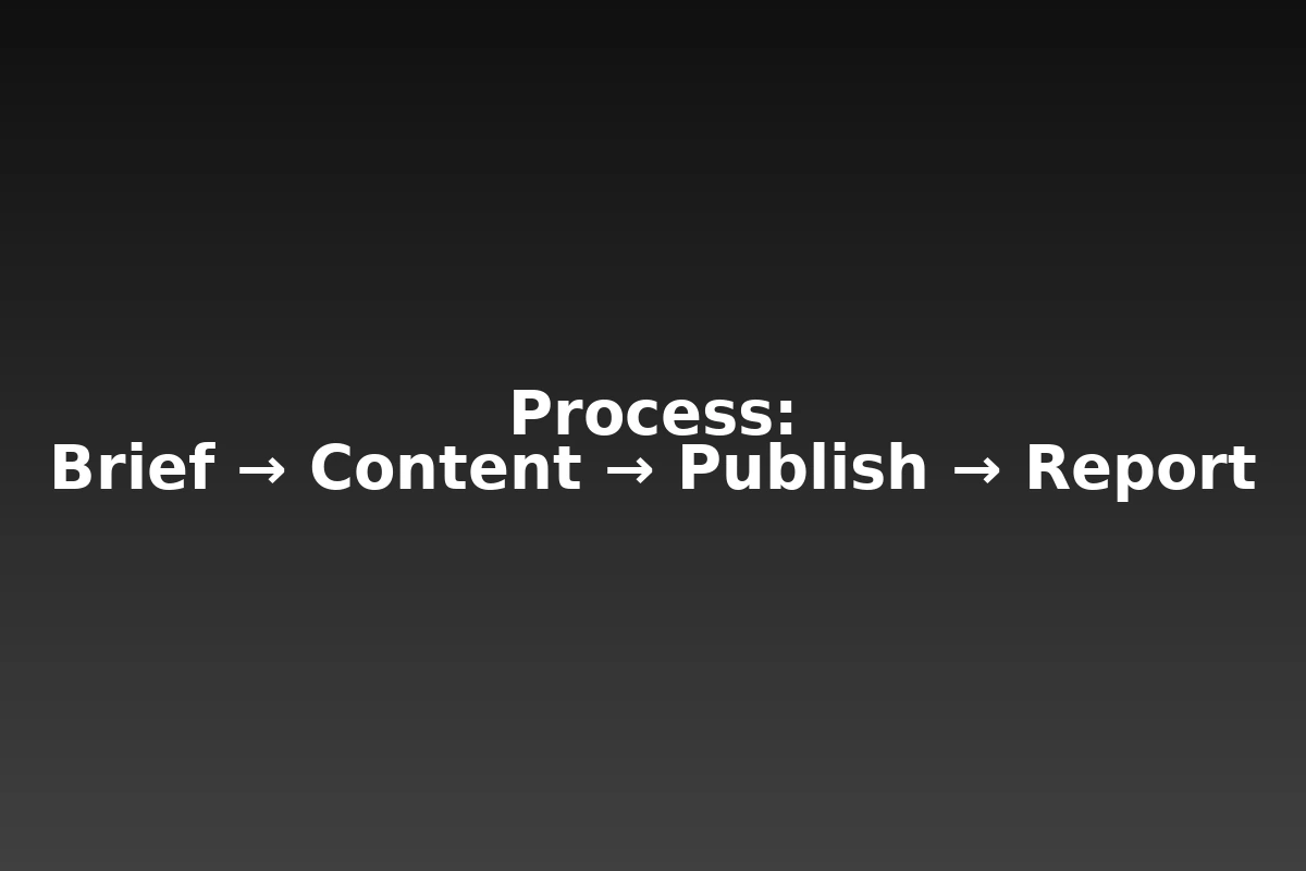 Process: brief, content, publish, report